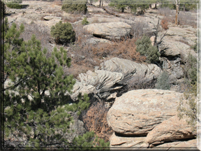 flat rocks along the edge of the canyon