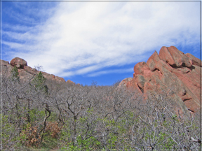 view of red rocks with scrub oak